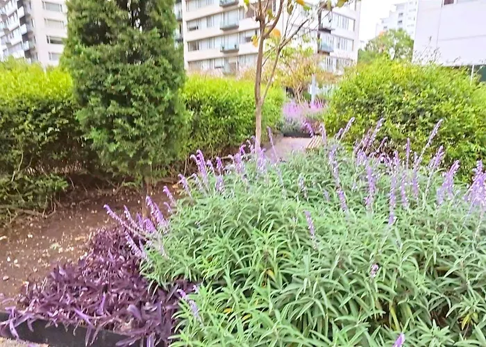 Apartment Stunning Polanco Aptprivate Parkbeautiful Views Mexico City